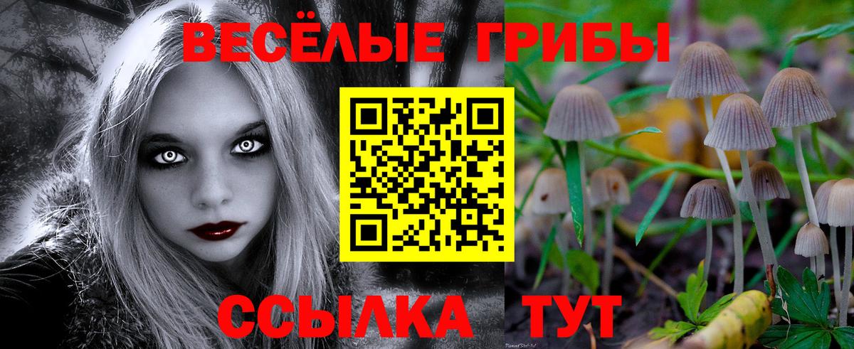 Галлюциногенные грибы мицелий  Вход с VPN  Воронеж  Галлюциногенные грибы Magic Shrooms 