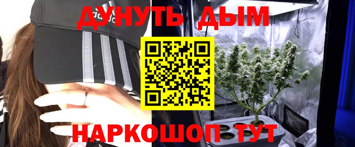 Шишки марихуана семена Воронеж